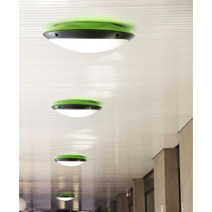 Maddi Range Maddi Range